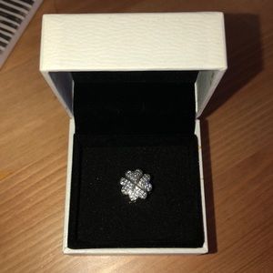 Pandora charm